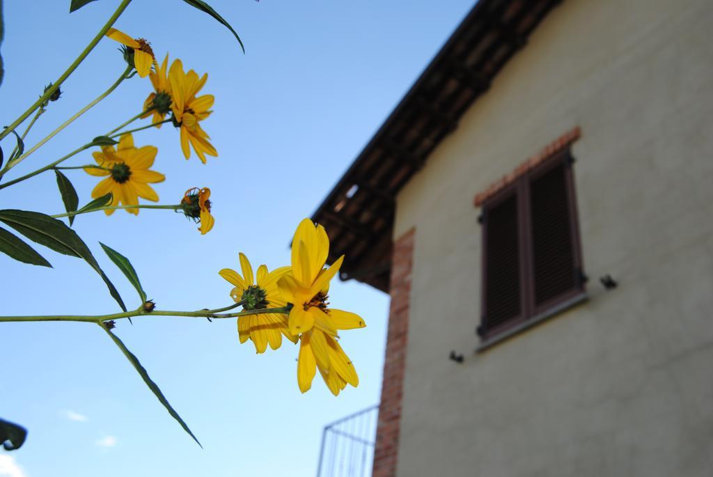 Agriturismo I Grappoli Serralunga d'Alba Exterior photo